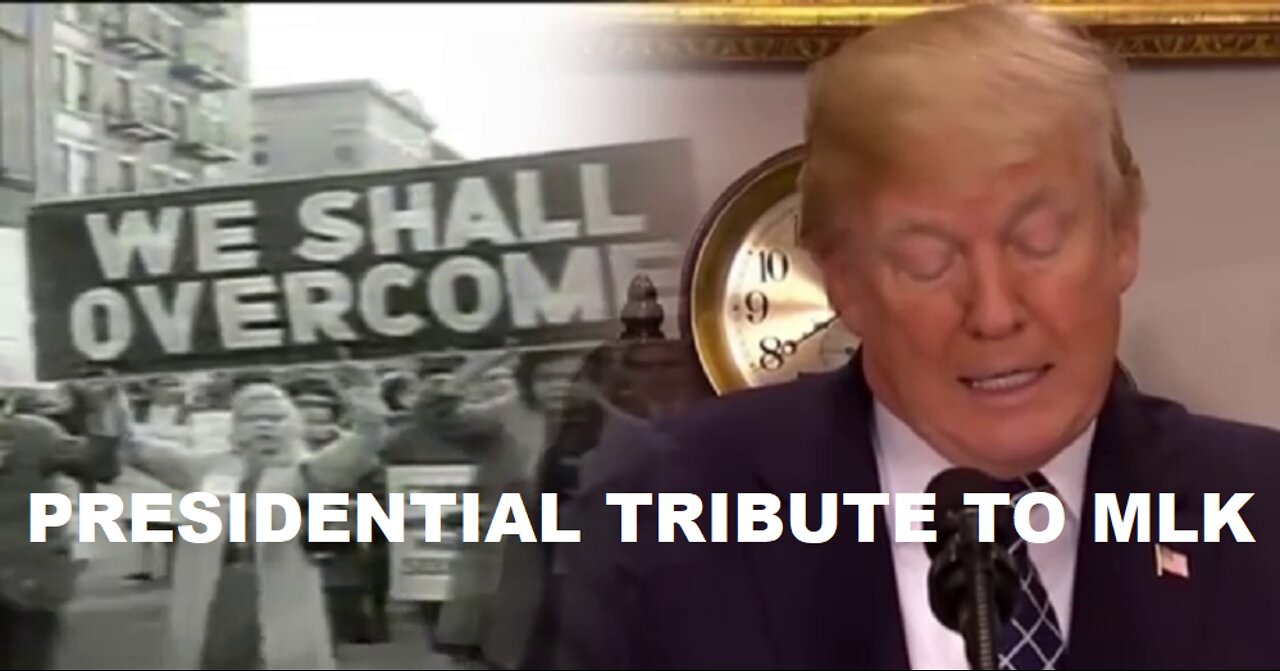 THIS IS YOUR BRAIN ON LOVE! A PRESIDENTS TRIBUTE TO MLK