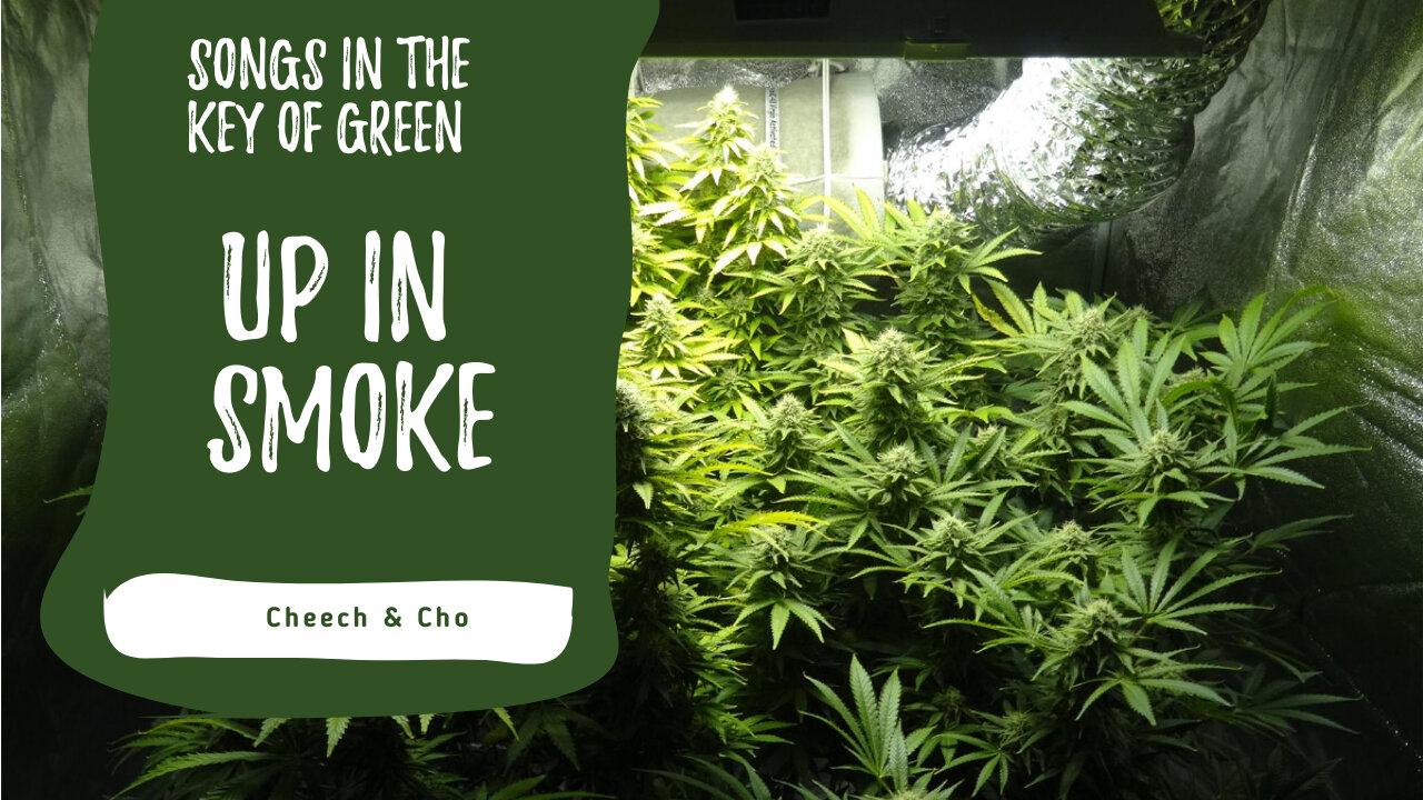 Songs in the Key of Green - Up In Smoke
