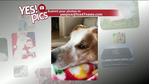 Yes! Pics: 5/10/18