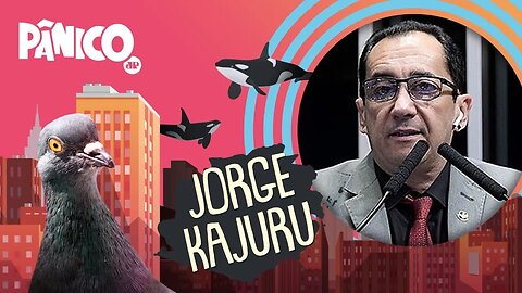 JORGE KAJURU - PÂNICO - 30/03/21