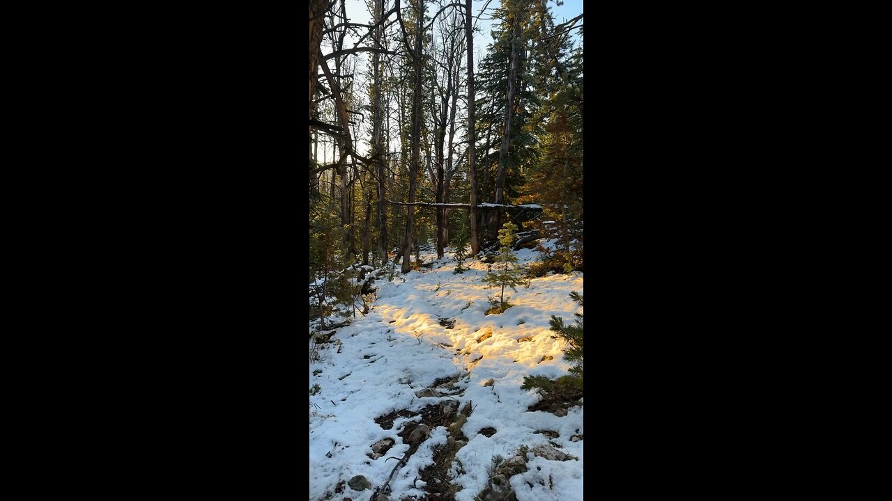 Archery hunt in Idaho