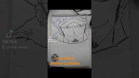 One Piece - Nami - Zoro - Trafalgar Law - Desenho