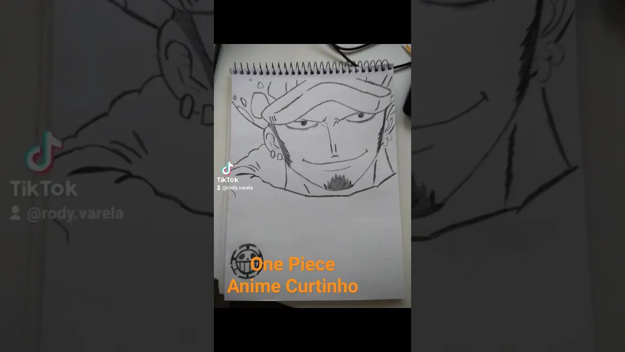 One Piece - Nami - Zoro - Trafalgar Law - Desenho