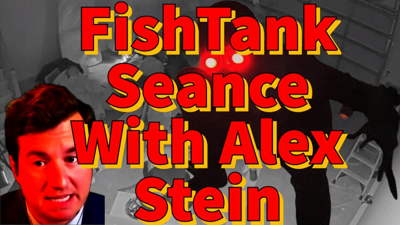 FishTank Seance With Alex Stein