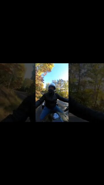 Back Roads in the Fall #shorts