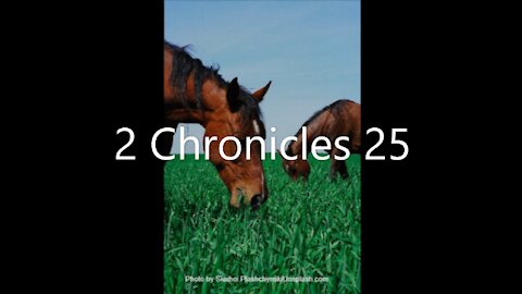 2 Chronicles 25 | KJV | Click Links In Video Details To Proceed to The Next Chapter/Book