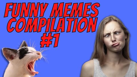 Funny Memes Compilation #1