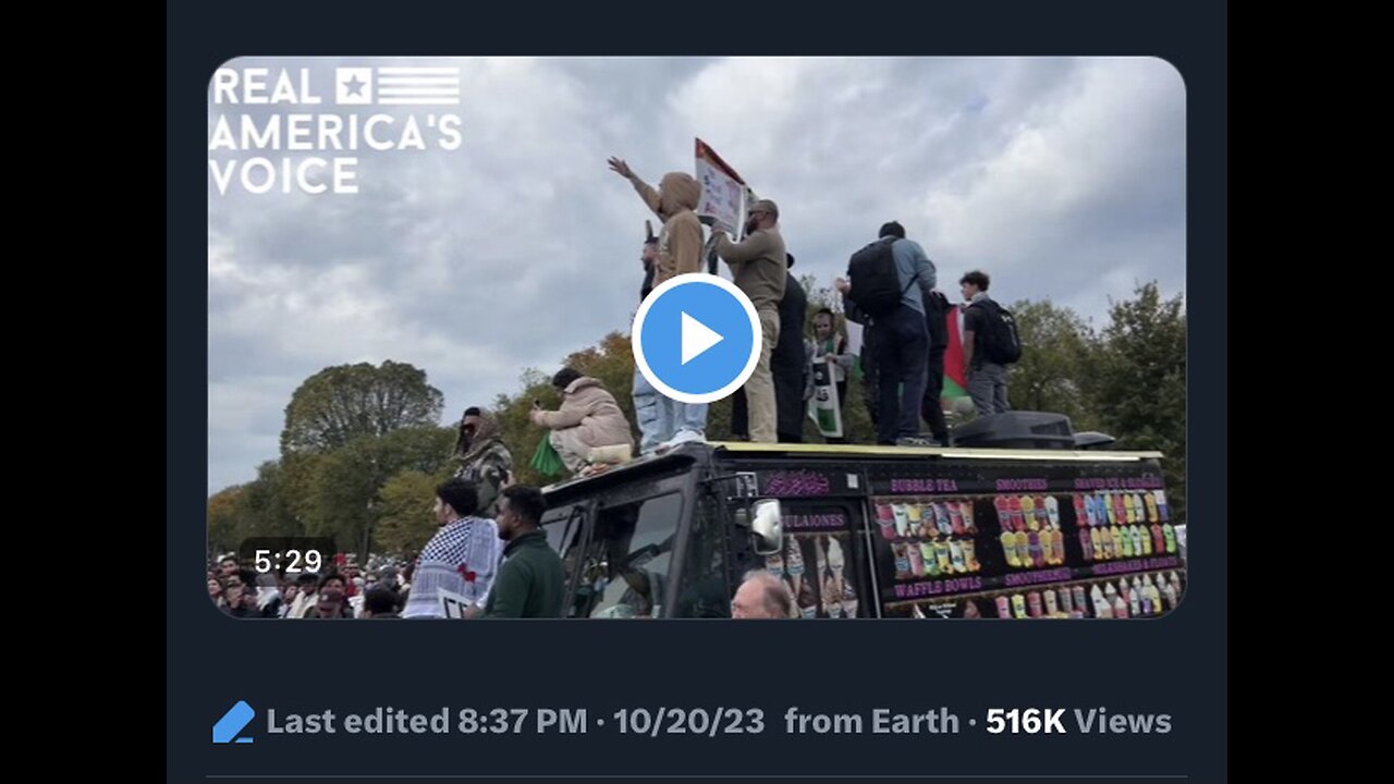 Captioned - Pro-Palestinian protesters in DC