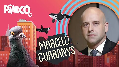 MARCELO GUARANYS | PÂNICO - AO VIVO - 07/05/20