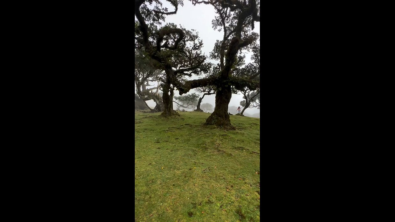 scenic views