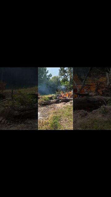 Update on Burning Tree & Clearing Land in Louisiana