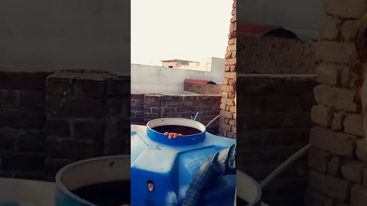 Shorts Funny
