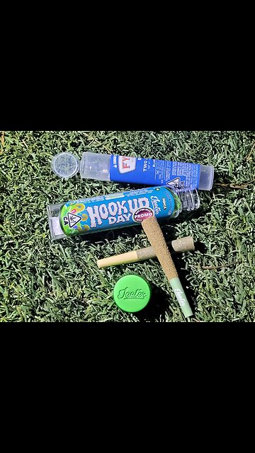 Got ya gotcha bitch liars non binary lesbian coming for your children catholic & lgbt