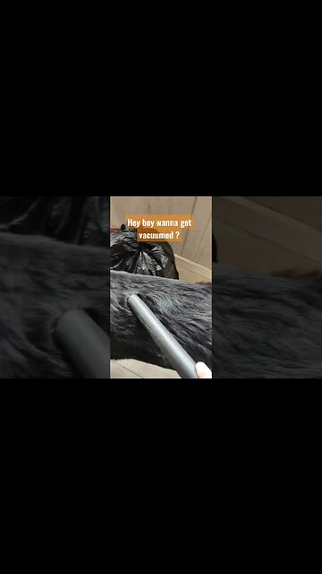 It's Vacuum Time #short #shorts