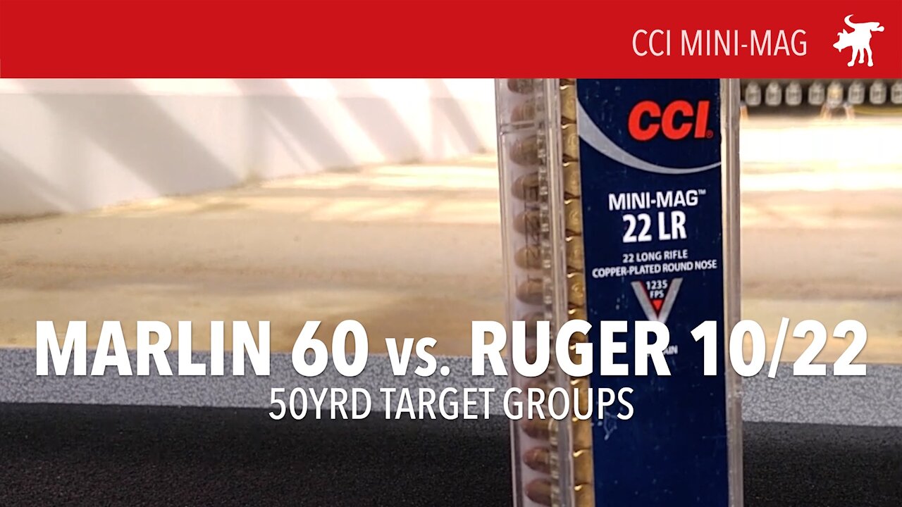 CCI Mini-Mag ammo test: Ruger vs Marlin