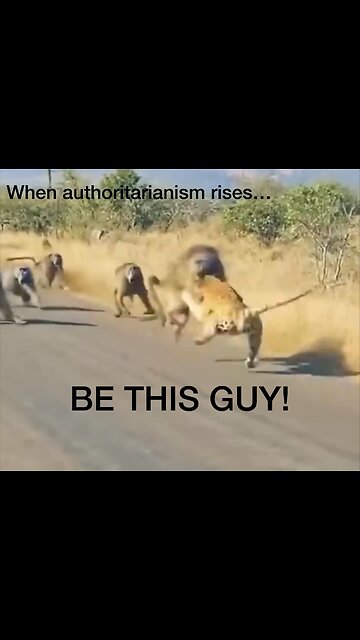 When authoritarianism rises, be THIS guy, and society will be emboldened to fight with you.