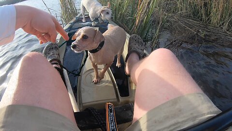 Ellie keeps falling off the kayak!