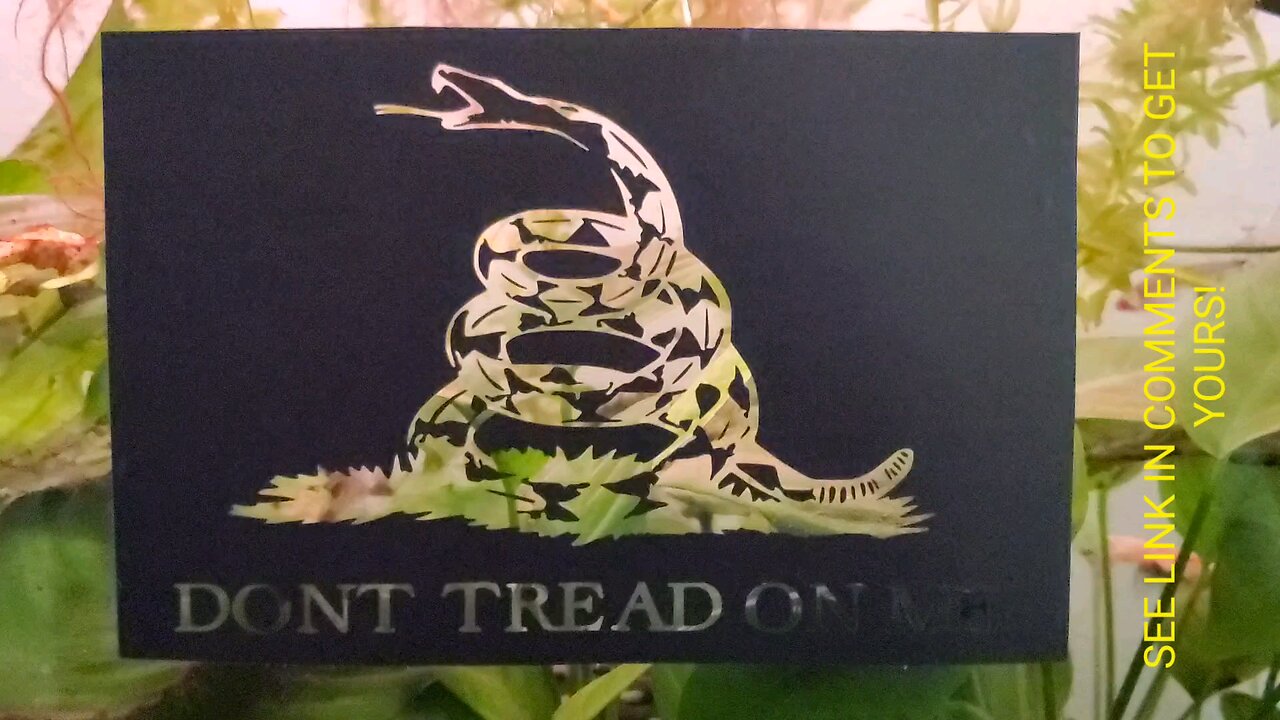 Don't Tread On Me - Vinyl Die Cut Sticker