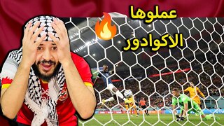 كأس العالم 2022 | ردة فعل مباراة هولندا ضد الاكوادور 1/1 | حرام الاكوادور تخرج بدون فوز والله