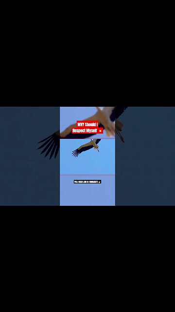 WHY Should I Respect Myself 🔥🔥🔥