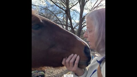 A horse trainers prayer.