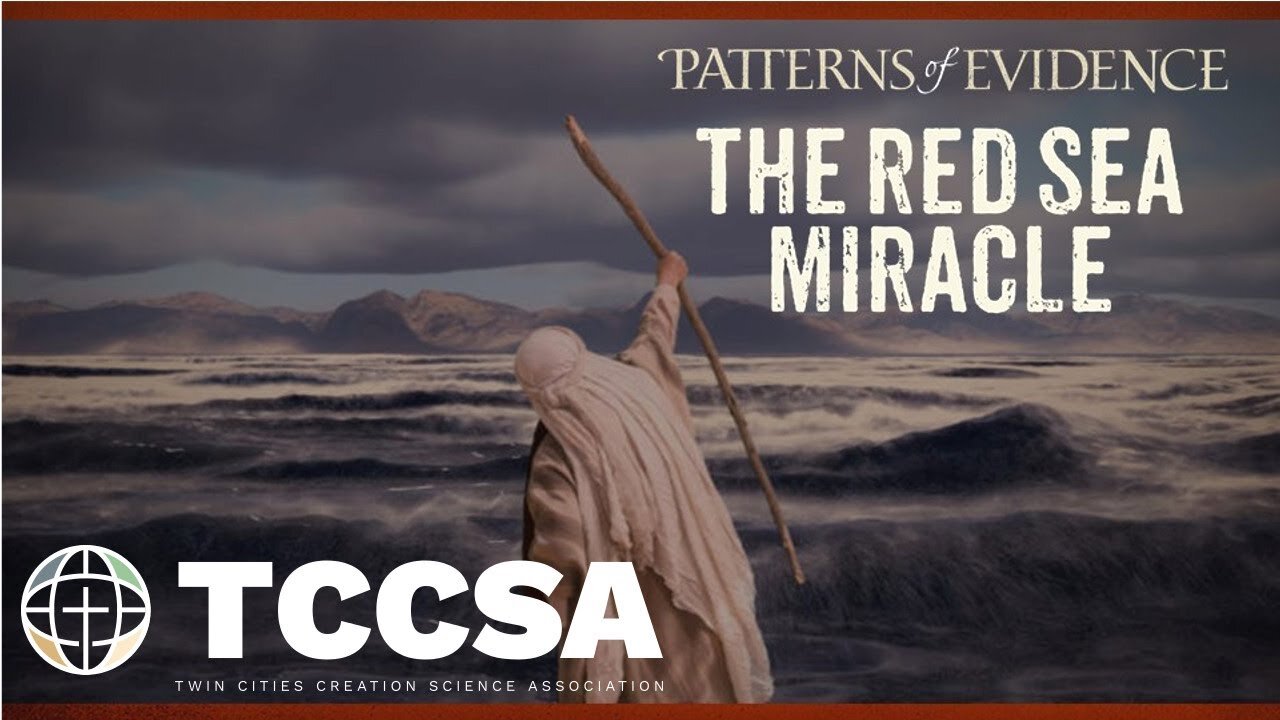 The Red Sea Miracle - Steve Law