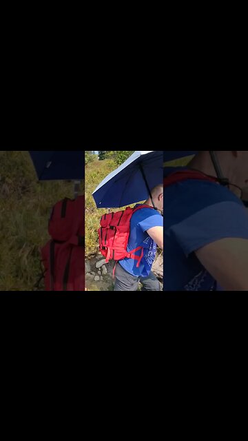 Hiking umbrella!!! #nature #hikingtrails #hiking #naturehike #solohiking #umbrella