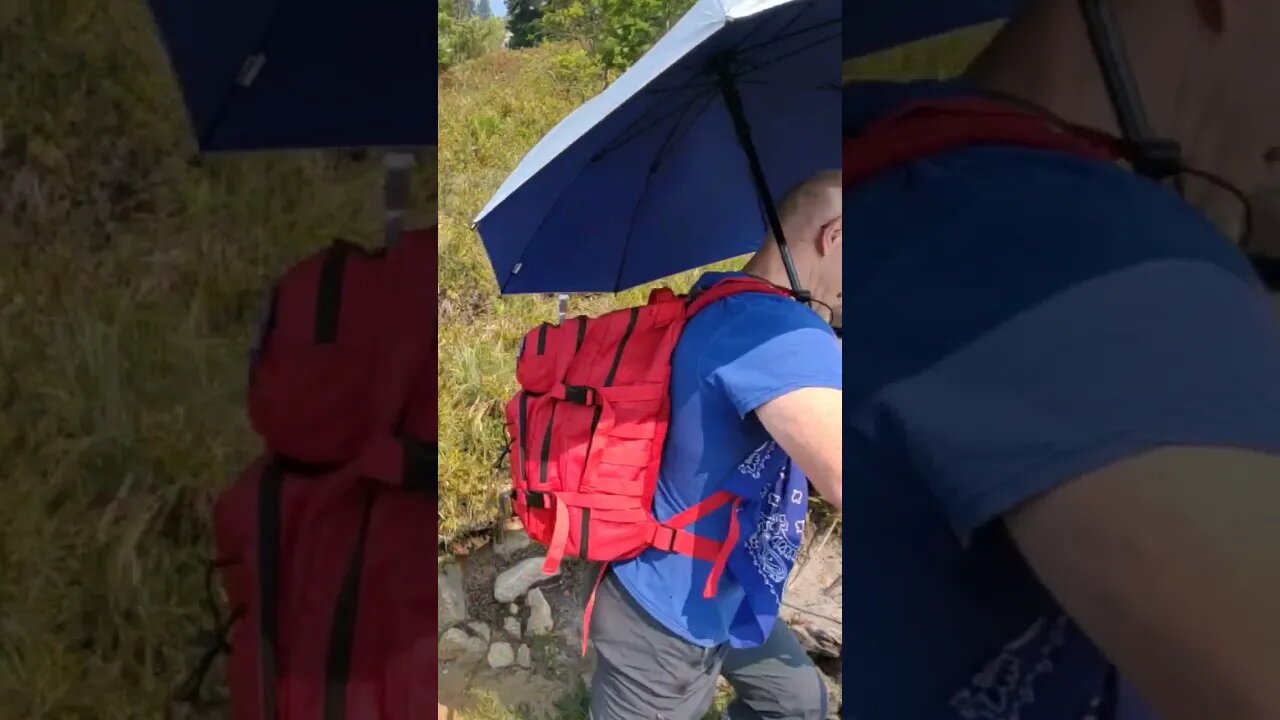 Hiking umbrella!!! #nature #hikingtrails #hiking #naturehike #solohiking #umbrella