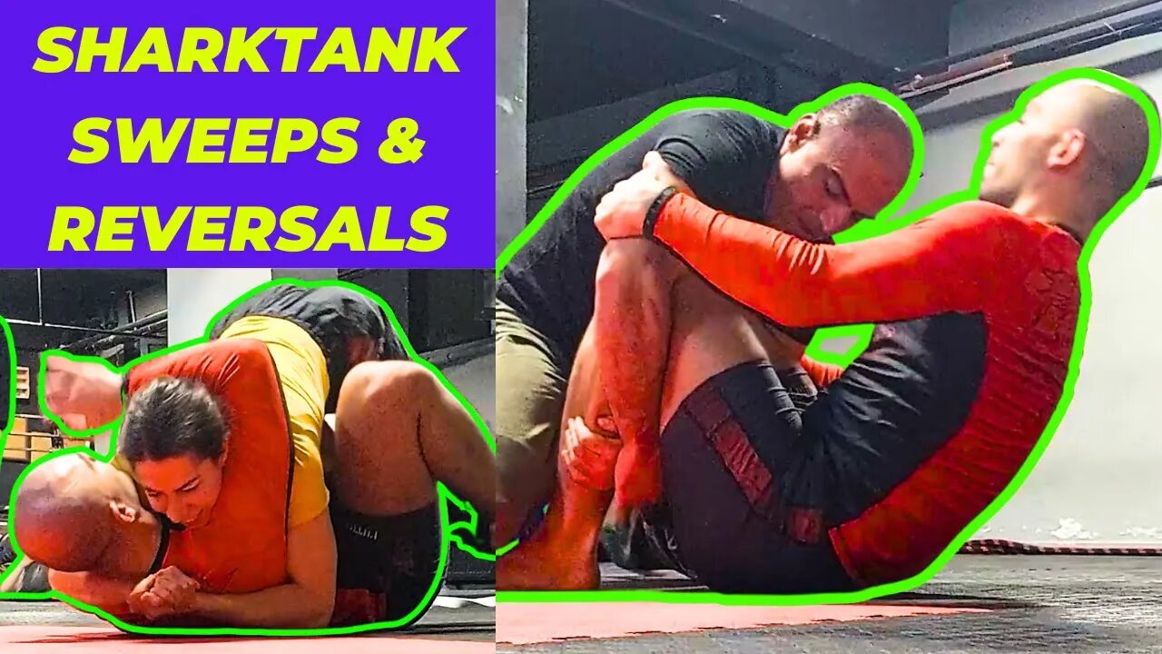 BJJ SHARKTANK ROUND: Working On Sweeps And Reversals From Bottom Guard Against Fresh Opponents