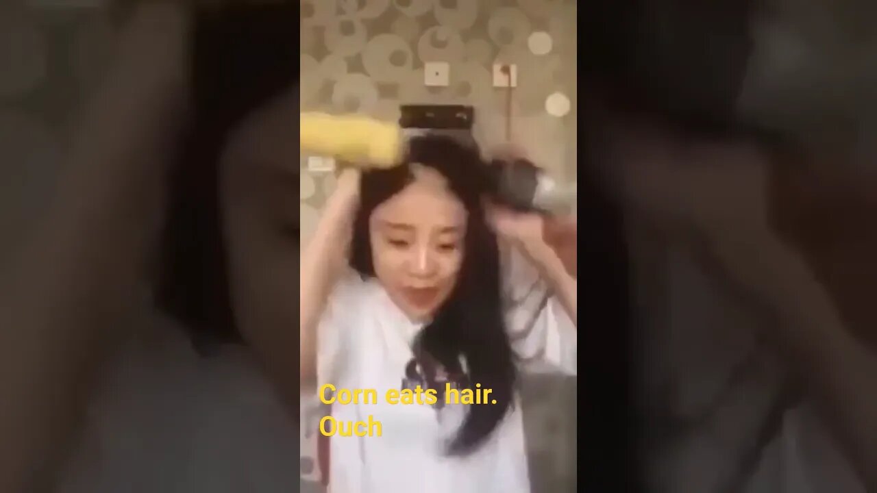 corn eats hair