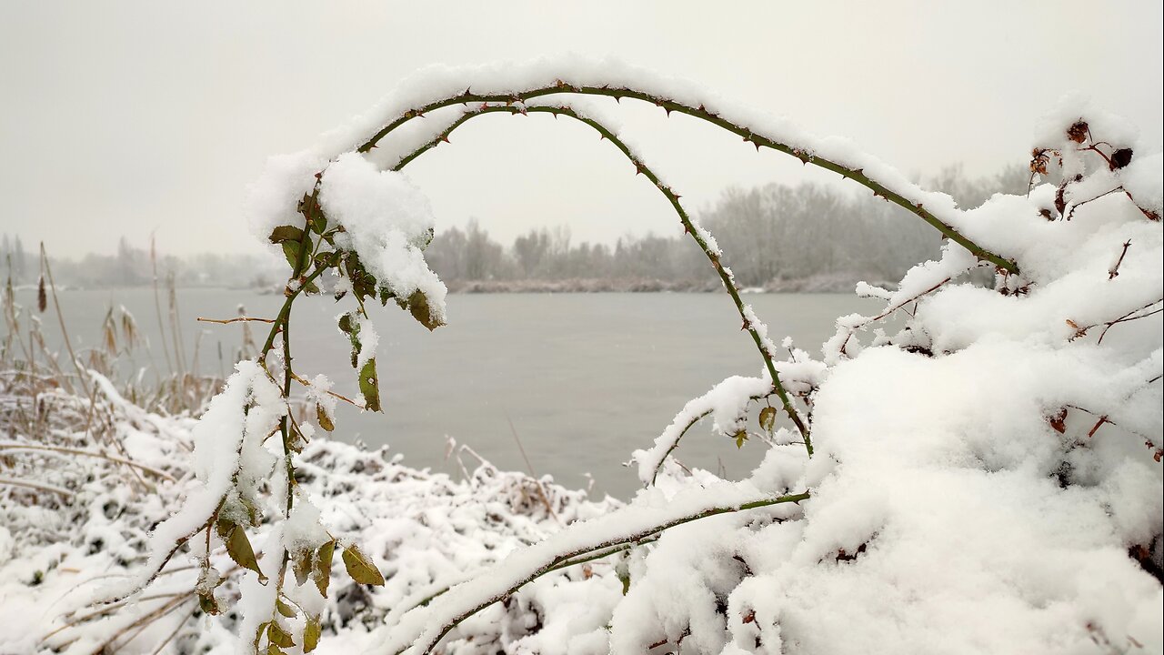 Snowy winter landscapes in Hungary, calm nature