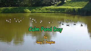 Calm Pond Day by Gary C Peeples