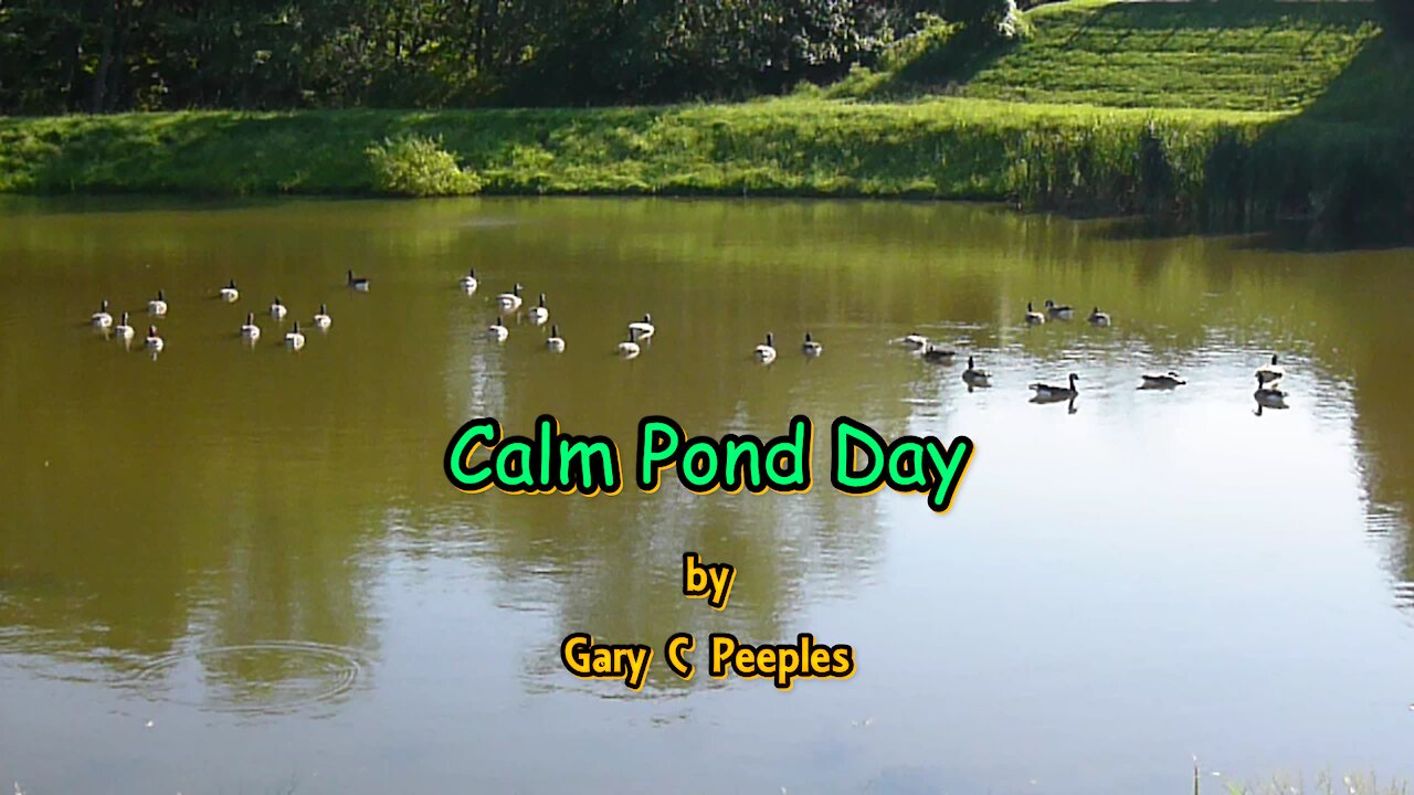 Calm Pond Day by Gary C Peeples