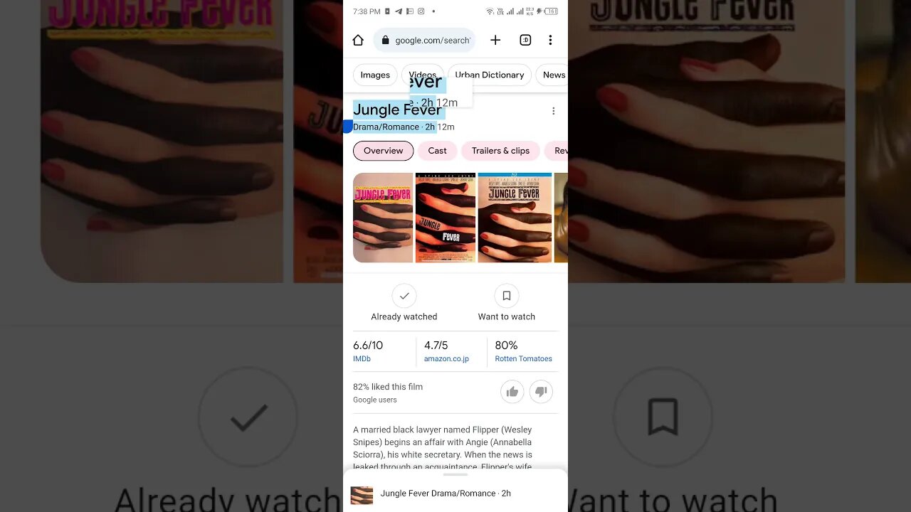 Jungle FeverDrama/Romance ‧ 2h