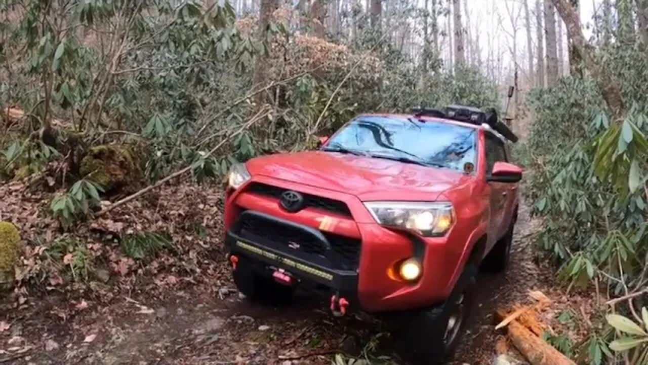 10 @@@@@ Hurricane Creek Trail, Shelton Laurel, and Bear Wallow Gap with the 4 Runner and NoBo 10