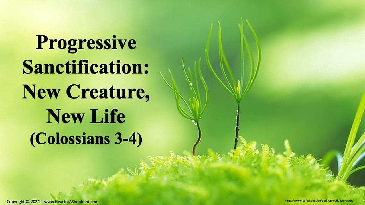 Progressive Sanctification: New Creature, New Life (Colossians 3-4) from www.HeartofAShepherd.com