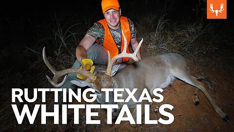 Texas Public Land Rifle Hunting | With The Element