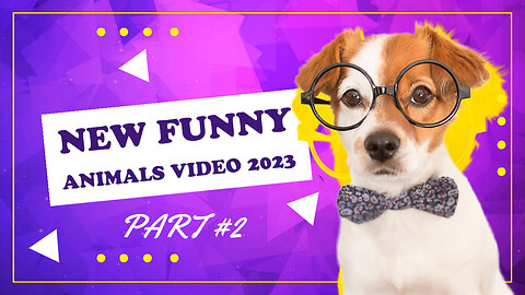 New Funny Animals 2023 😂 Funny Cats and Dogs Videos 😺🐶 Part #2