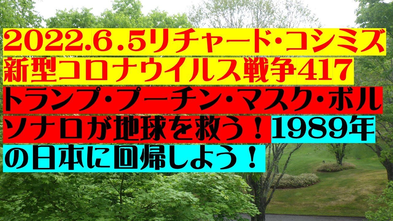 2022.06.05 リチャード・コシミズ新型コロナウイルス戦争417