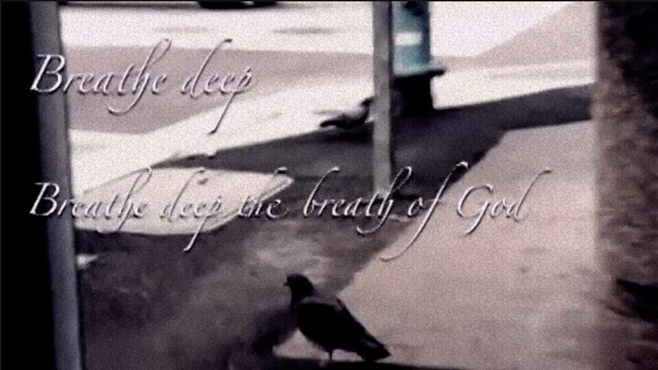 "Breathe Deep" - Lost Dogs feat. Gene Eugene