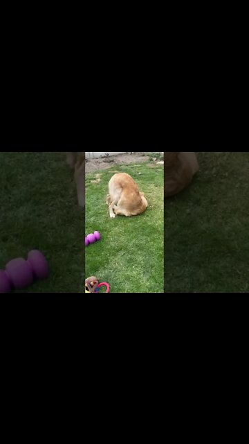 Show me something that you spend way money on, but don’t Regret!!!