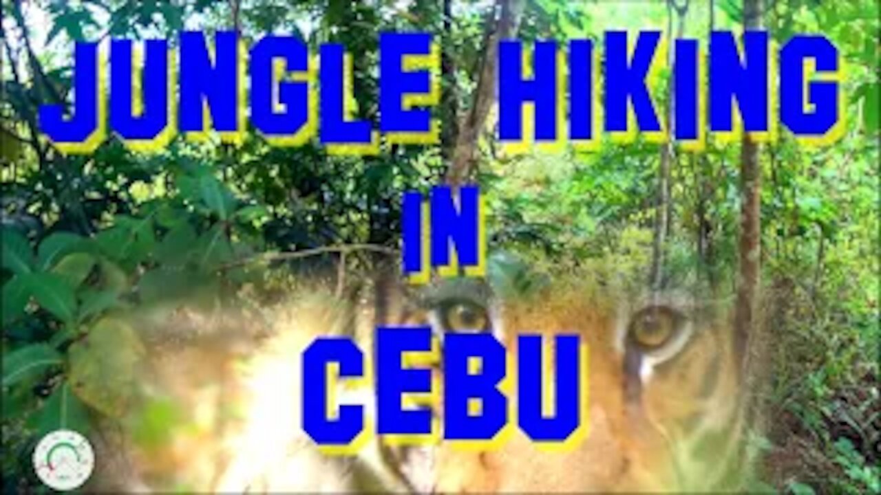 Foressa Trail - Jungle Hiking in Cebu