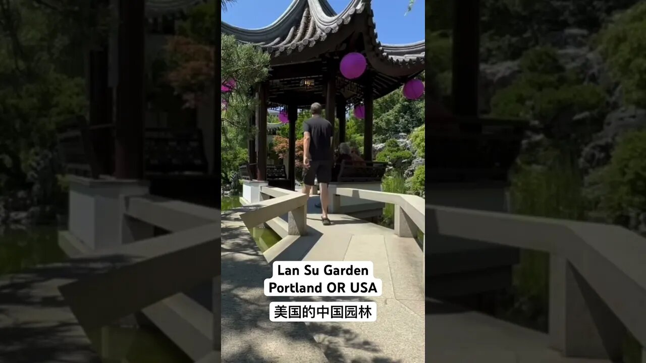 New Channel Episode #chinesegarden #portlandoregon