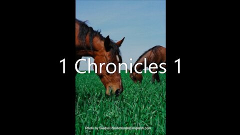1 Chronicles 1 | KJV | Click Links In Video Details To Proceed to The Next Chapter/Book