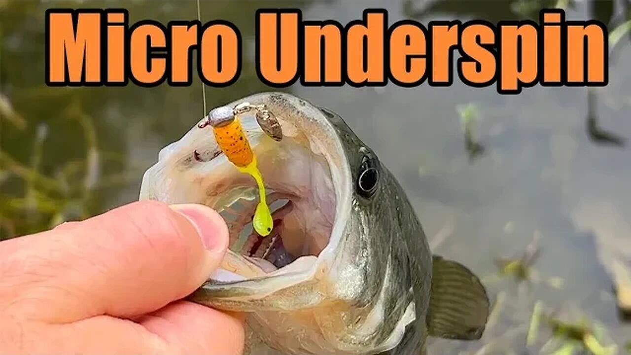 Micro Finesse Underspin Jig - Underwater Swim Tank & Bass Panfish Fishing Footage