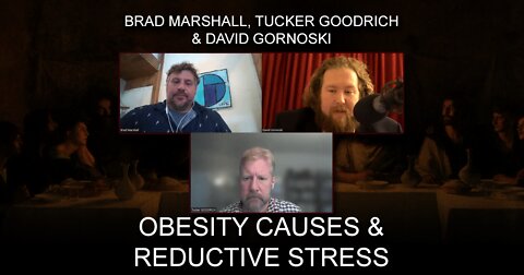 Brad Marshall, Tucker Goodrich on Obesity Causes, Reductive Stress