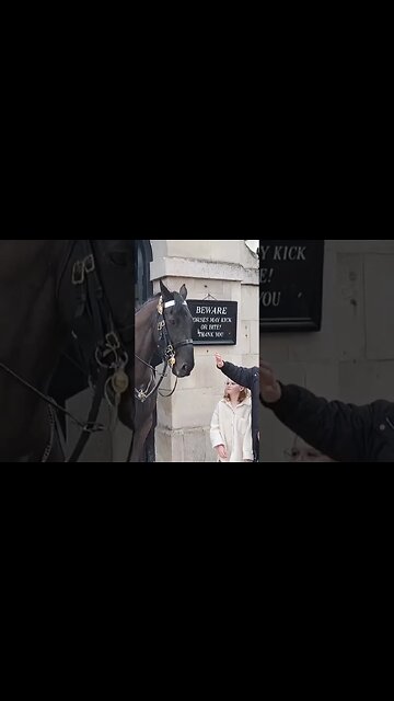 Japanese tourist showes respect to the kings guard #horseguardsparade