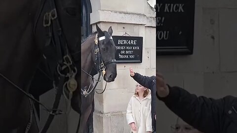 Japanese tourist showes respect to the kings guard #horseguardsparade