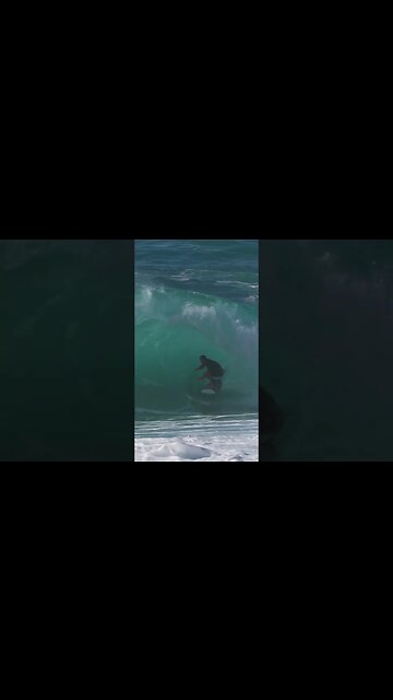 Snapper comes to hawaii? Maybe one section 😂