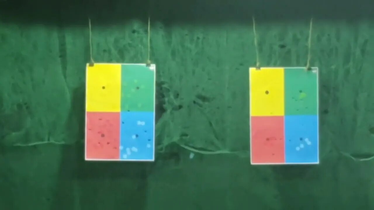 Pequetita no Torneio w2c internacional